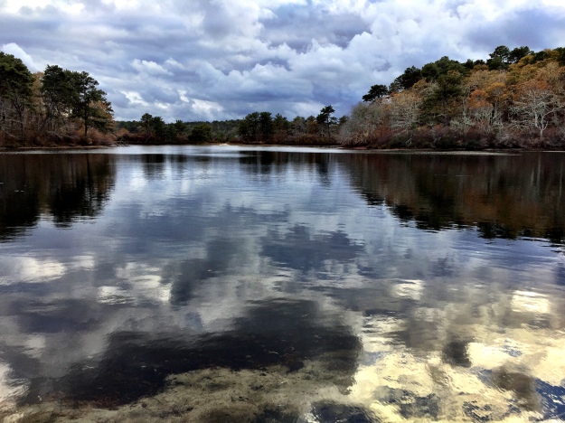 Northeast Pond, Wellfleet, MA